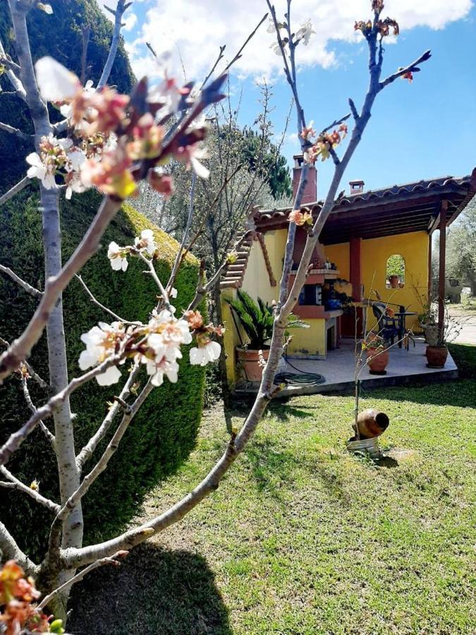 Vasiliki'S House Zacharo , 27054 , Ilias Apartman Kültér fotó